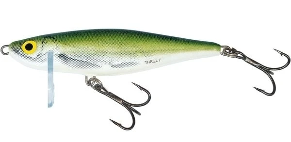 Воблер Salmo Thrill TH5 OB фото
