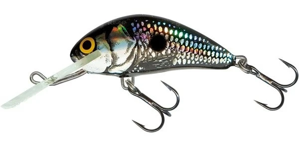 Воблер Salmo Hornet H5F BSS фото