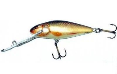 Воблер Salmo Perch PH14SDR RR фото