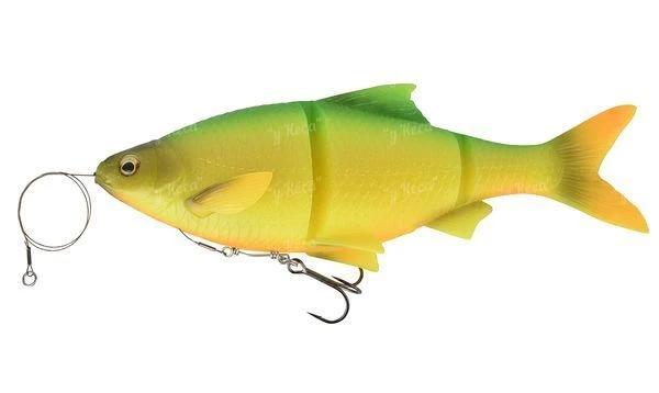 Силикон Savage Gear 3D Line Thru Roach 250MS 05-Firetiger фото
