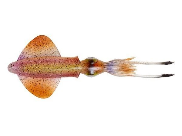 Силикон Savage Gear 3D Swim Squid 9.5см Horny Squid 4шт фото