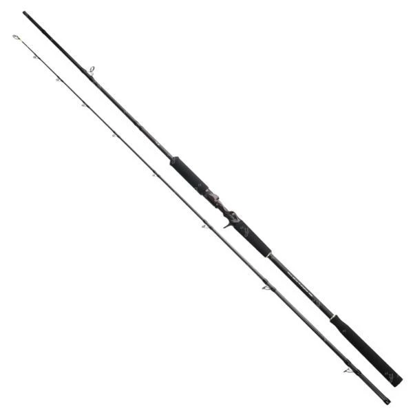Спиннинг Azura 24 XP Casting 83XH 2.51m up to 100g фото