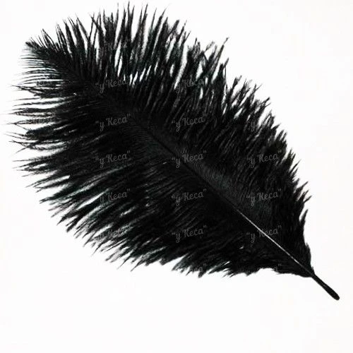 Перо страуса Strike Ostrich Feathers - Black фото