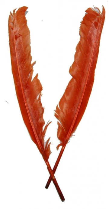 Перо індика махове Strike Mottled Turkey Quills Orange фото