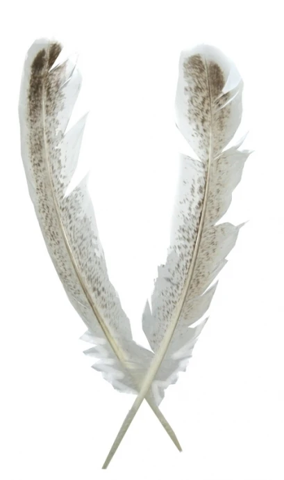Перо індика махове Strike Mottled Turkey Quills White фото
