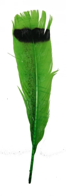 Перо индюка хвостовое Strike Turkey Tail Feathers Green  фото