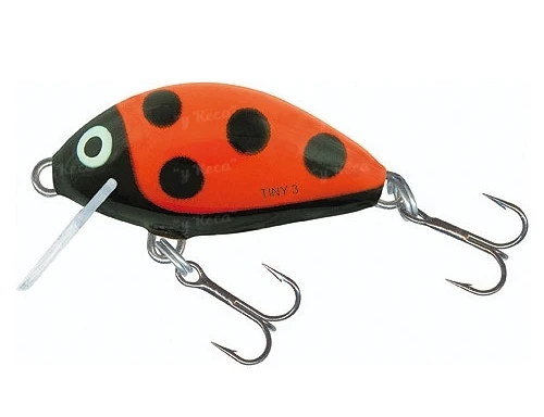 Воблер Salmo Tiny IT3F LB фото