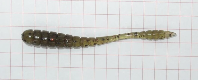 Силикон Tsunekisci Worm 2" фото