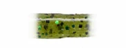 Vein U30 3,8" 10шт. #144  WATERMELON/BLACK・GREEN фото