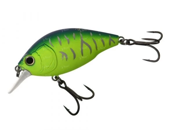 Воблер Azura Raidon crank 50F MB003 фото