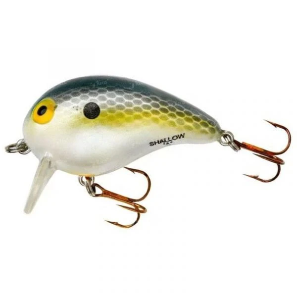 Воблер Bomber Shallow A 50F Foxy Shad фото
