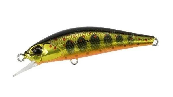 Воблер DUO Spearhead Ryuki 50S MCC4084 Gold Yamame фото