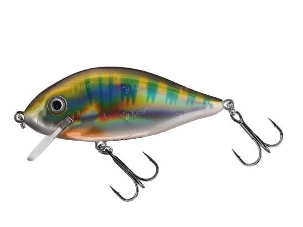 Воблер Fishing ROI Karas 75F 33 фото
