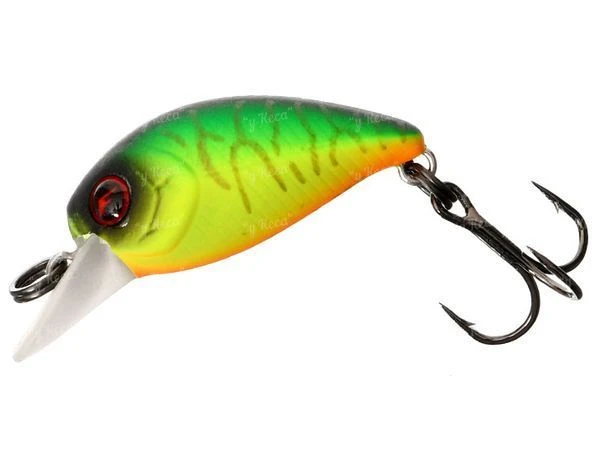 Воблер Flagman Areata Crank 25F F104 фото