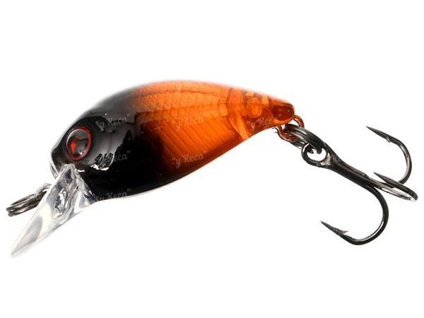 Воблер Flagman Areata Crank 25F F107 фото