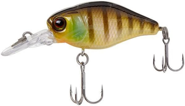 Воблер Jackall Chubby 38F MR Noike Gill фото