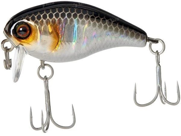 Воблер Jackall Chubby 41F-SSR HL Silver-Black фото