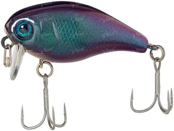 Воблер Jackall Chubby 41F-SSR UL Bug фото