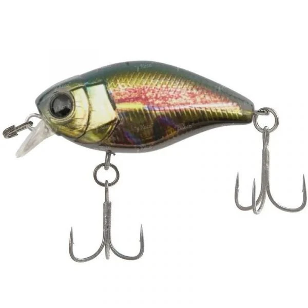 Воблер Jackall Chubby Magnum 50F SR RT Metallic Fly фото