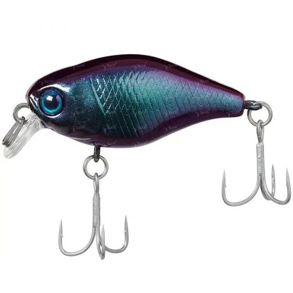Воблер Jackall Chubby Magnum 50F SR UL Bug фото