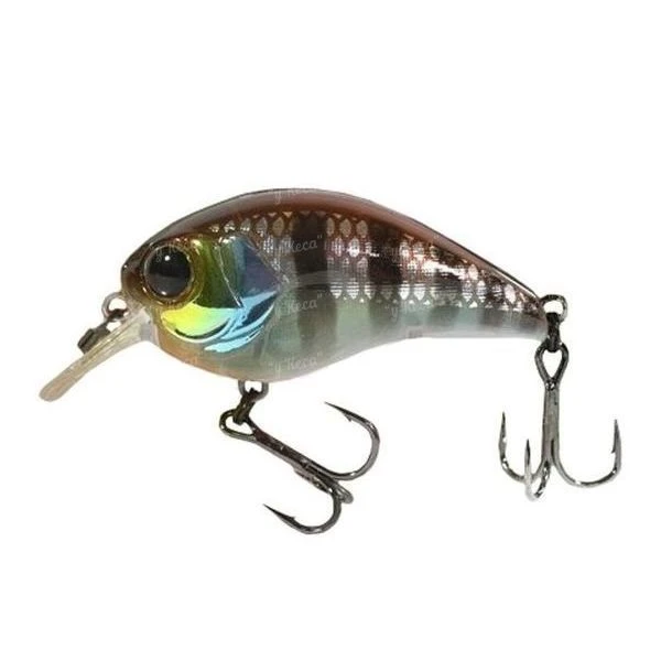 Воблер Jackall Mushbob 50F-SR Uroko HL Chigill фото