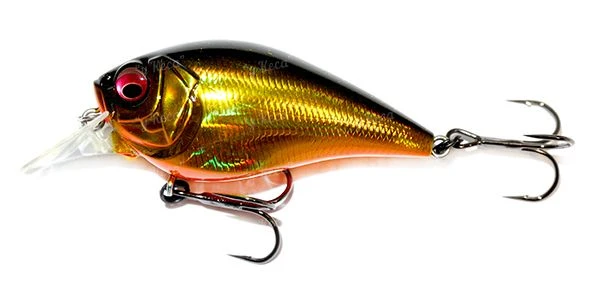 Воблер Megabass Knuckle 60F GG Megabass Kinkuro фото