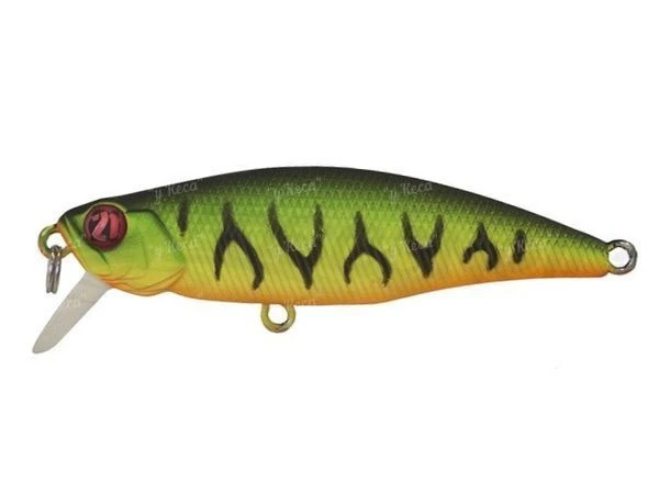 Воблер Pontoon21-DUO Preference Shad 55Sp-SR A42 фото