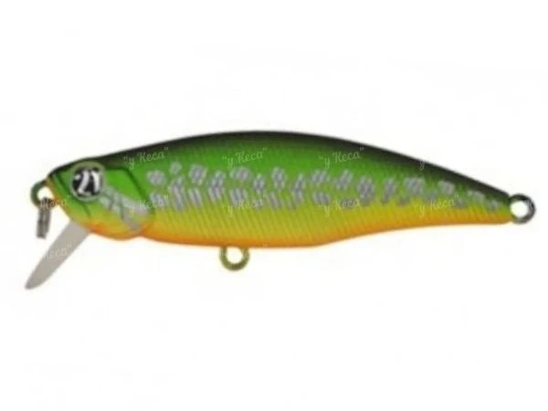 Воблер Pontoon21-DUO Preference Shad 55F SR A70 фото