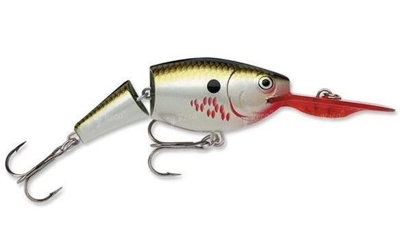 Воблер Rapala Shad Rap Jointed JSR05 BOF фото