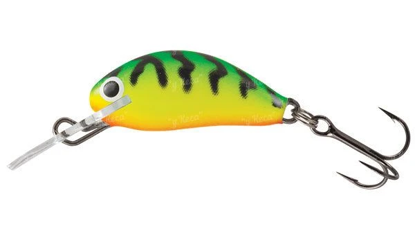 Воблер Salmo Hornet H3S GT фото