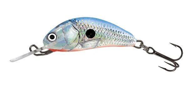 Воблер Salmo Hornet H3F SBS фото