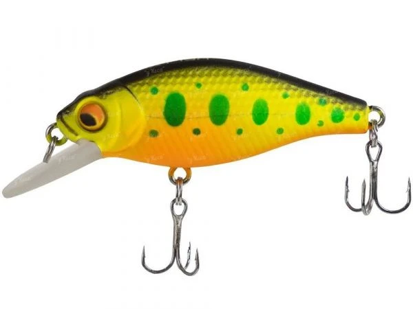 Воблер X-Fish Chipotel 50F 163 фото