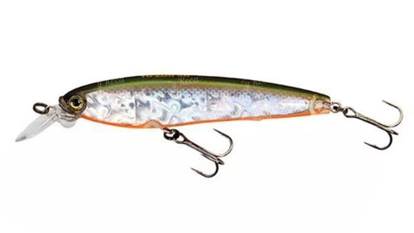 Воблер Yo-Zuri 3DS Minnow 100Sp F1157-HTS фото