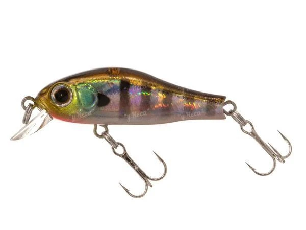 Воблер ZipBaits Rigge 35F 509 фото