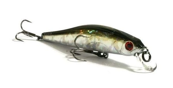 Воблер ZipBaits Rigge 70Sp 510 фото