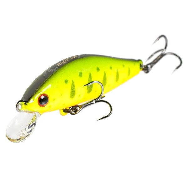 Воблер ZipBaits Rigge Flat 45 фото