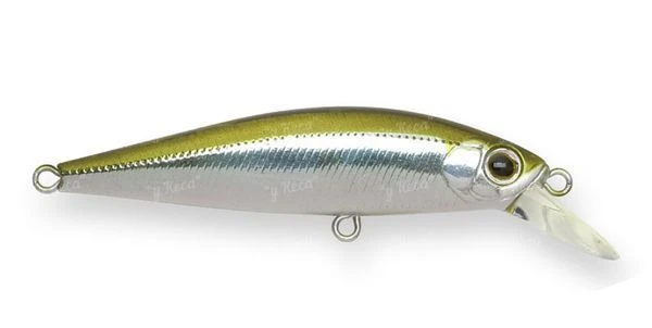 Воблер ZipBaits Rigge Flat 50S 021 фото