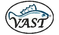 Vast 